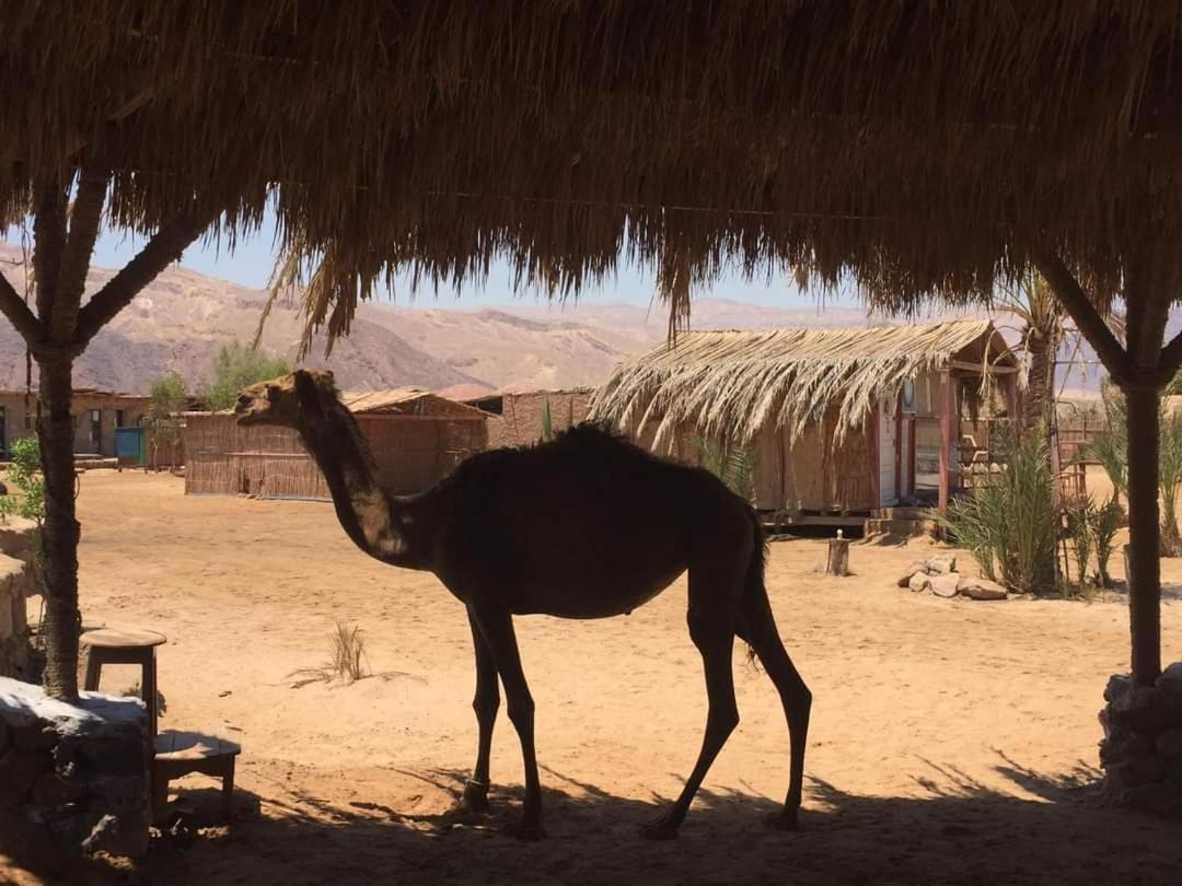 Diana Beach Camp Hotel Nuweiba` Exterior foto